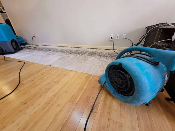 24/7 Emergency Water Damage Repair experts in Waverly, IL